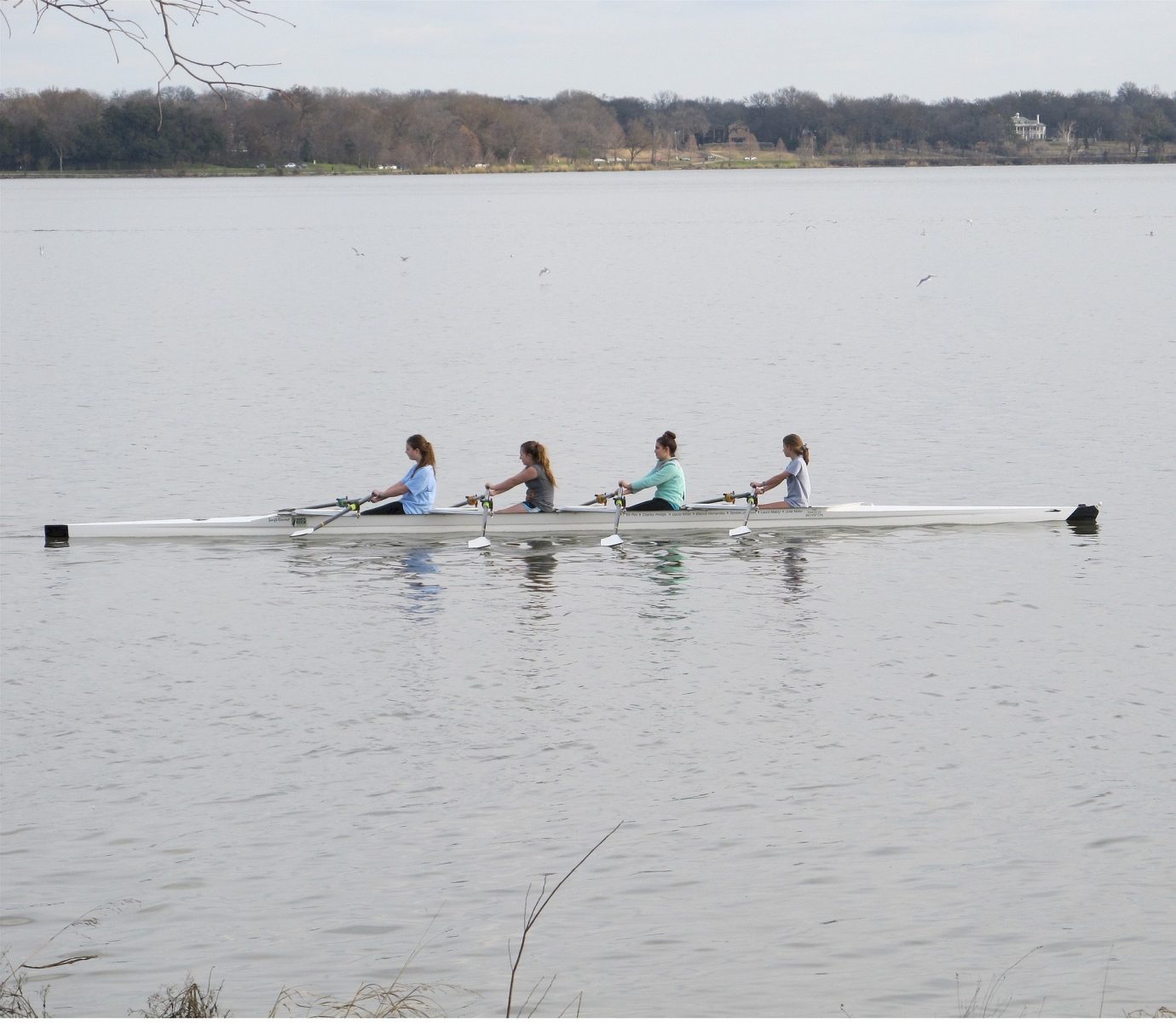 Students rowing team sport