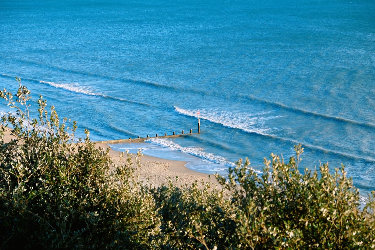 student health benefits living by the sea