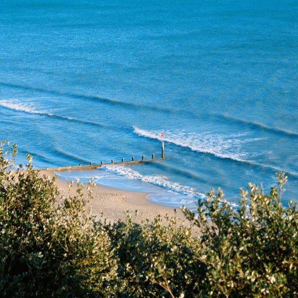 student health benefits living by the sea
