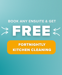 1 freecleaningfortnightly nova