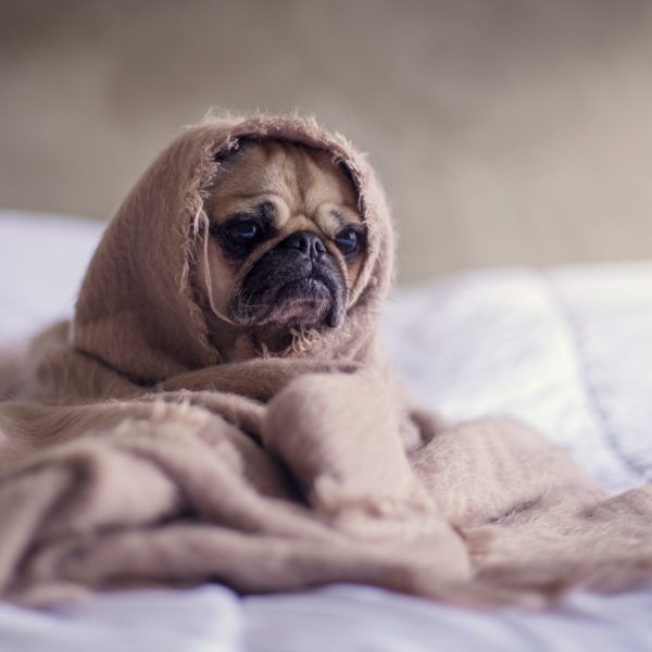 top hacks for making your bed