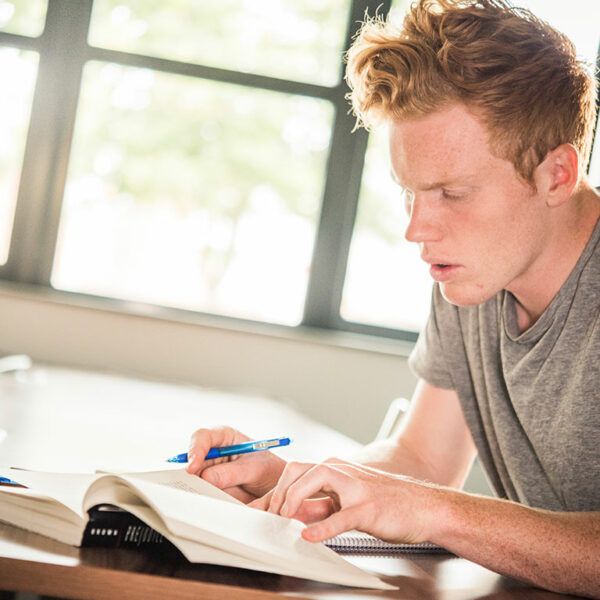 male student is concentrating on studying