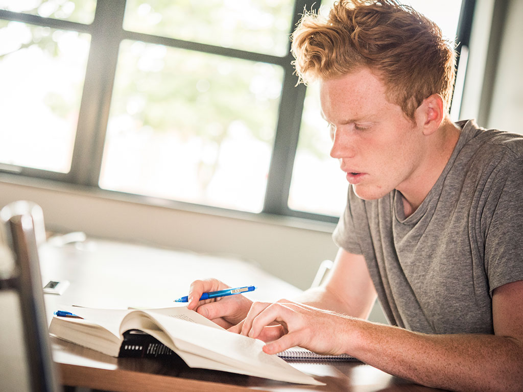 male student is concentrating on studying