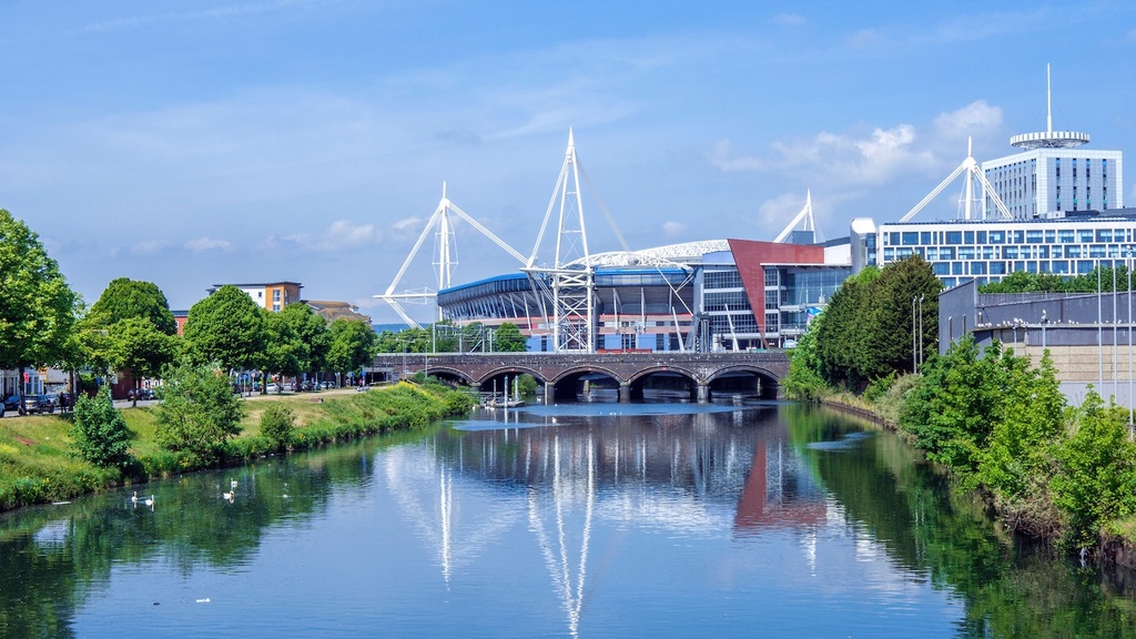 Cardiff city