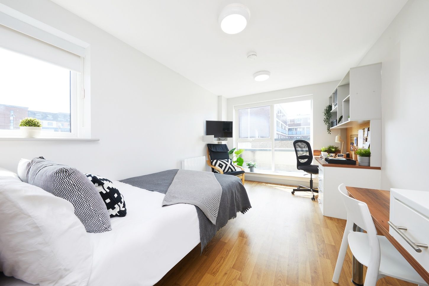 portsmouth earlsdon premium plus studio r108 IMG 7612 JJ RT web