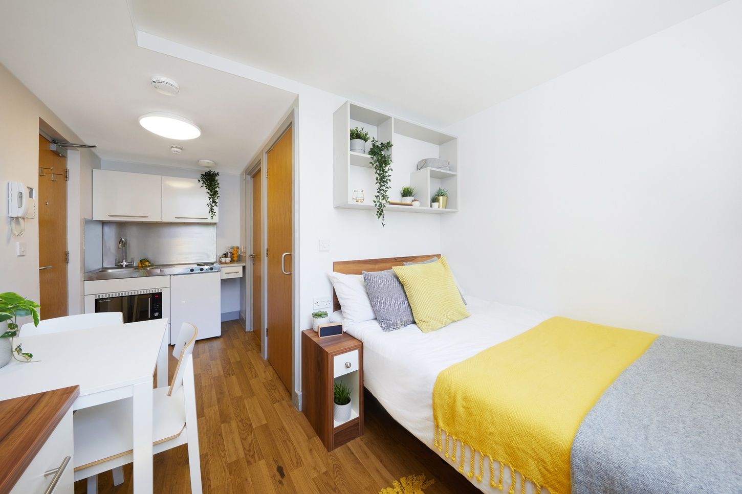 portsmouth james standard studio r101 IMG 7573 JJ RT web