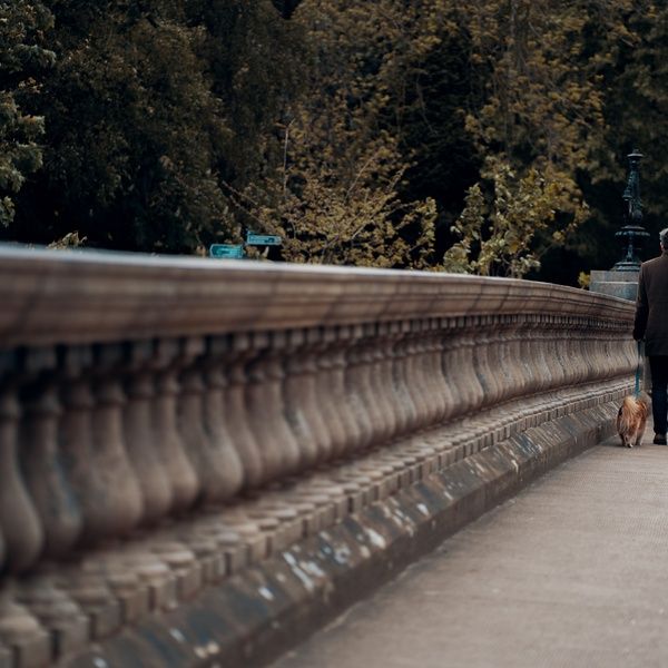 ross-sneddon-H0XUpepehXs-unsplash