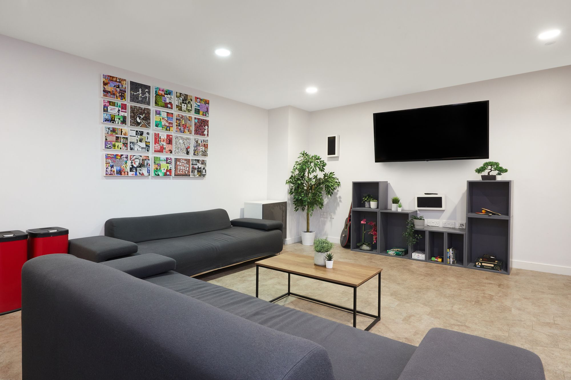 south park com MG 9359 JJ RT web