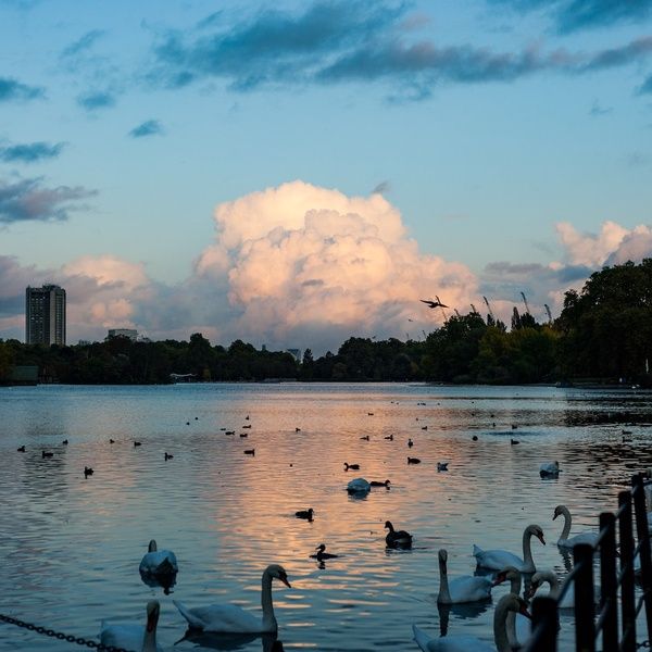 Hyde park
