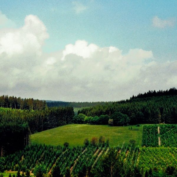 Gloucester acres