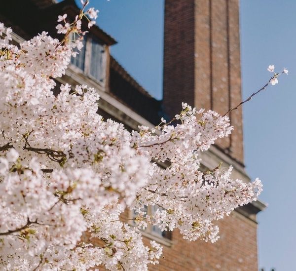flowering