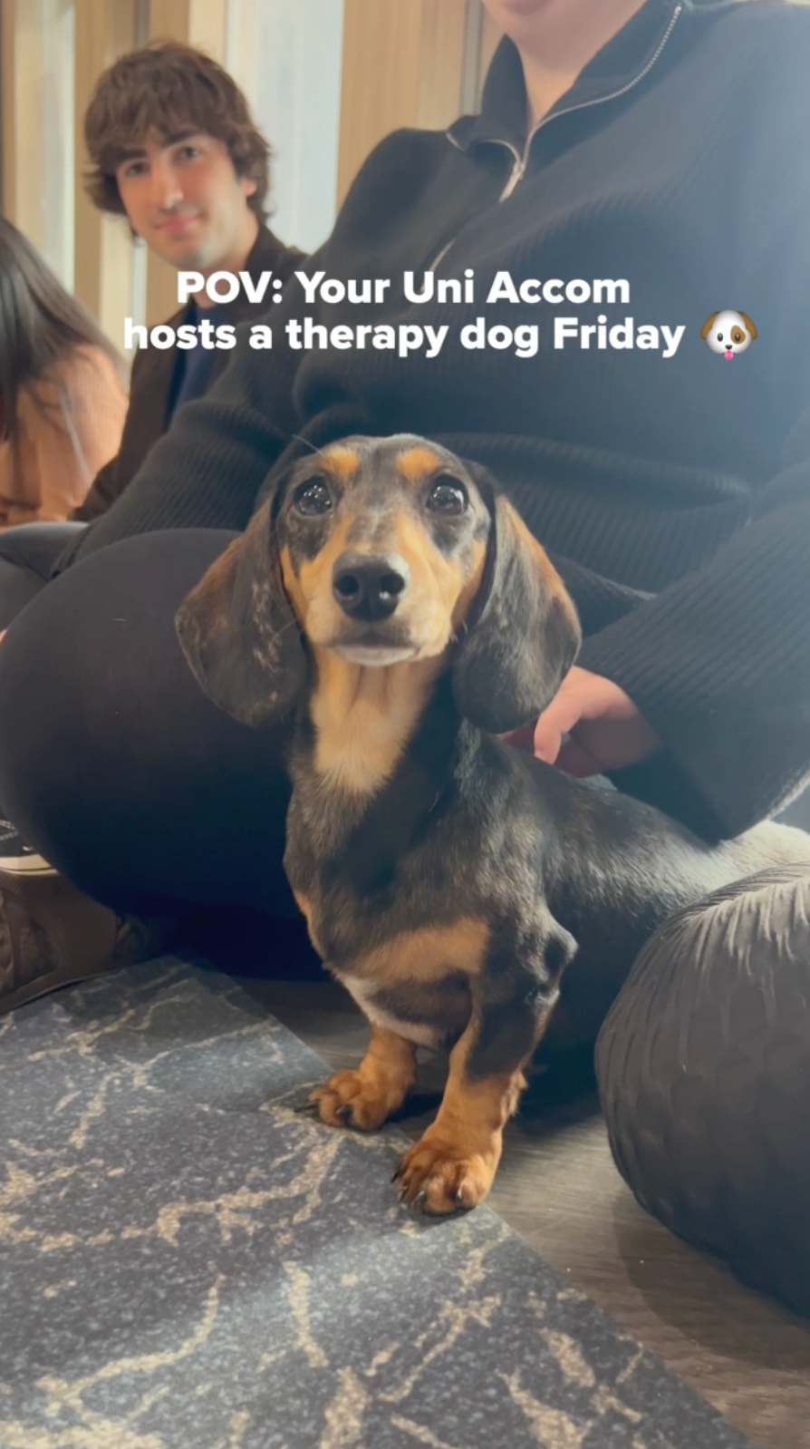 Screenshot 2025 07 29 at 15.09.22