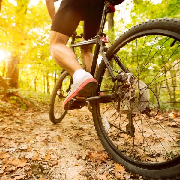 bike trail in woods