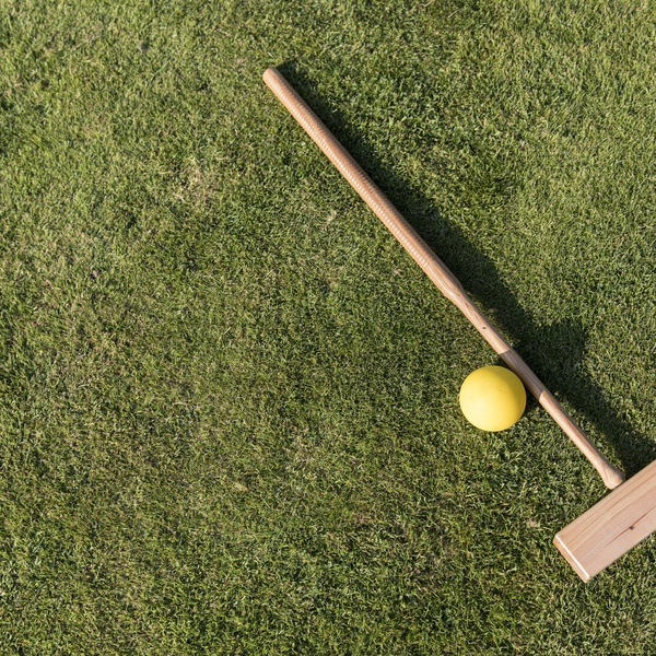 croquet stick and ball