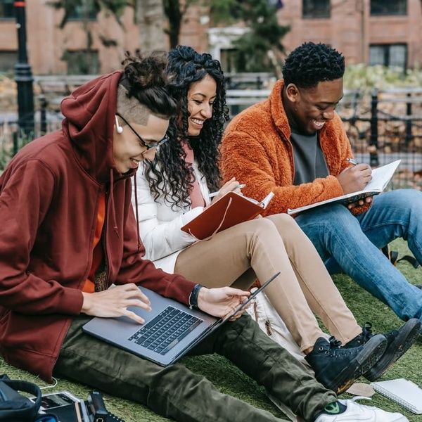 students studying in park