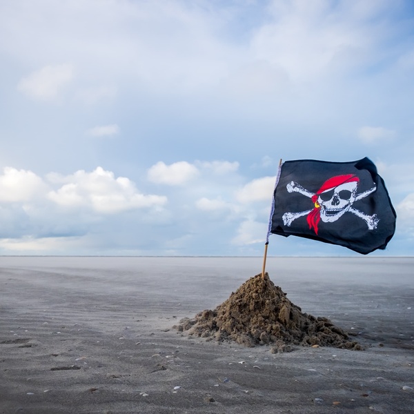 pirate flag on beach