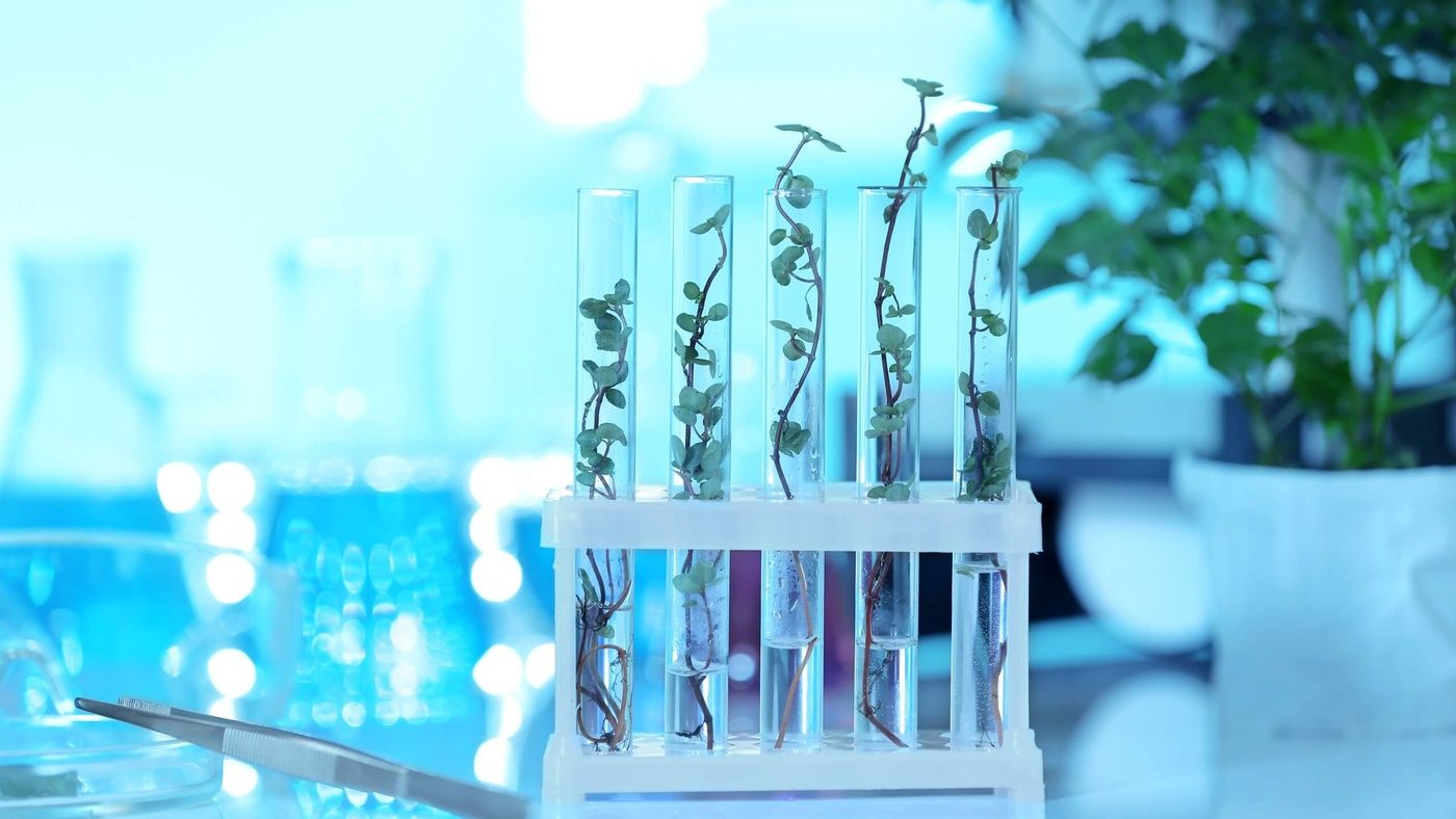 life sciences scaled 1