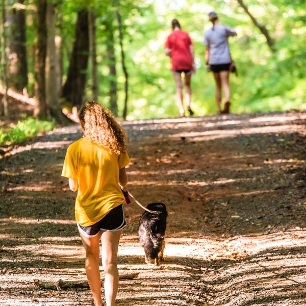 Girl in sport clothes walking a dog