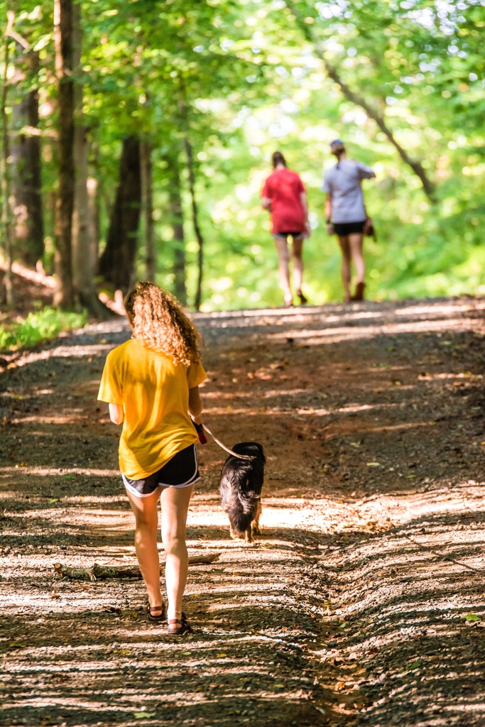 Girl in sport clothes walking a dog