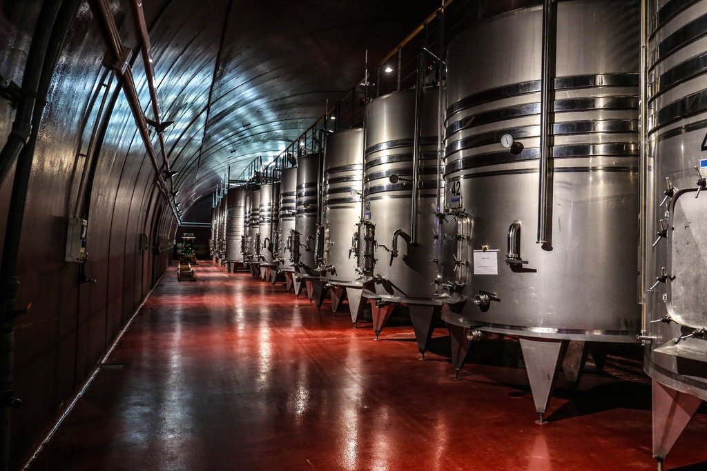 brewery vats in beer cellar