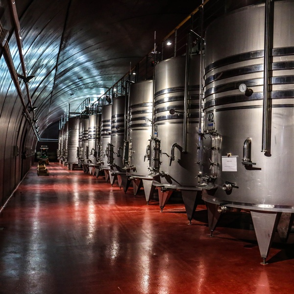 brewery vats in beer cellar