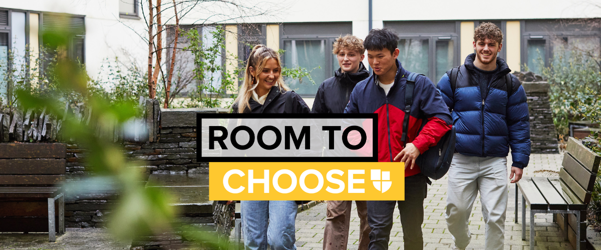 Room to choose web banner 4