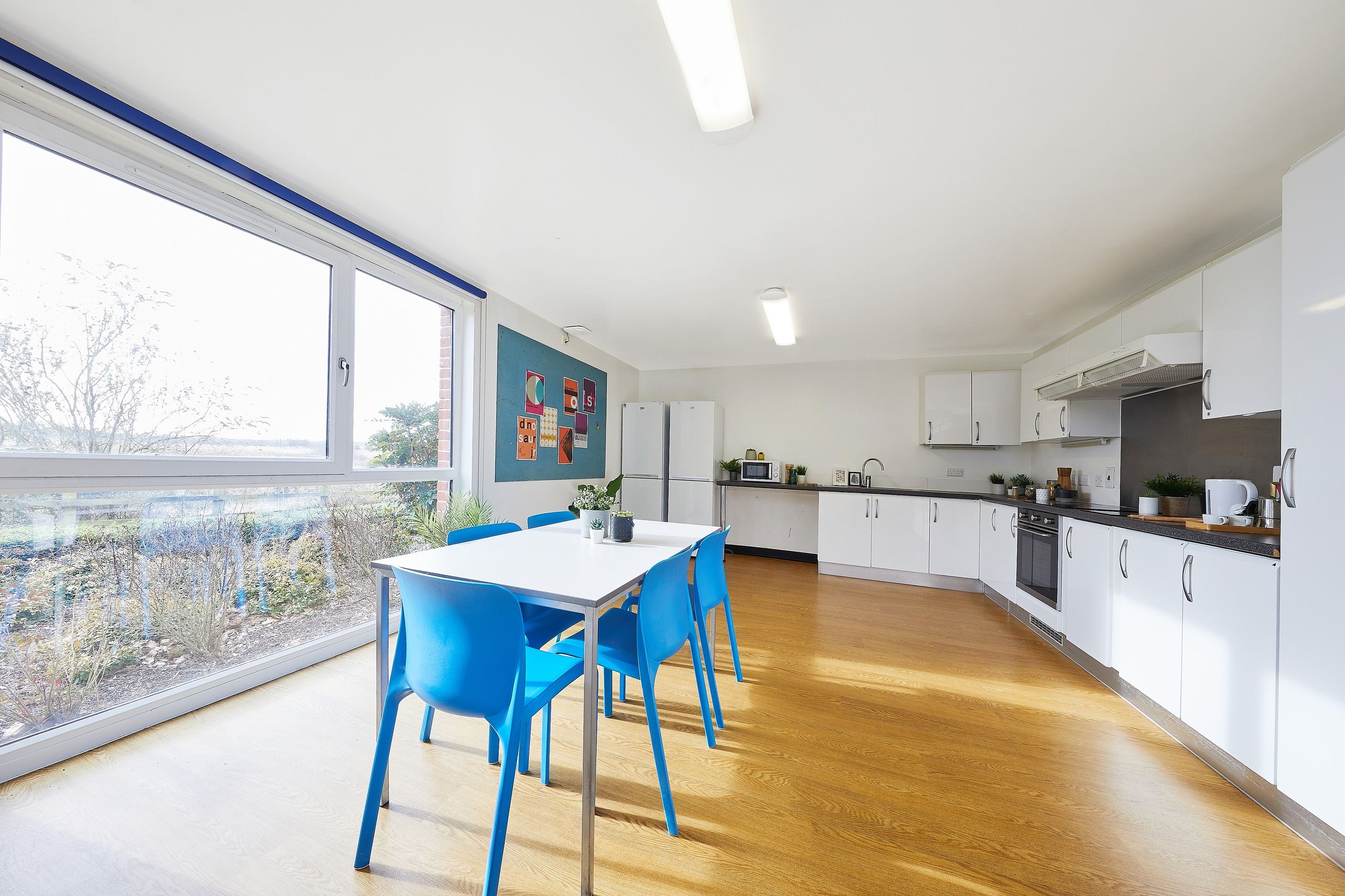 essex meadows Shared Kit MG 8503 RT JJ web