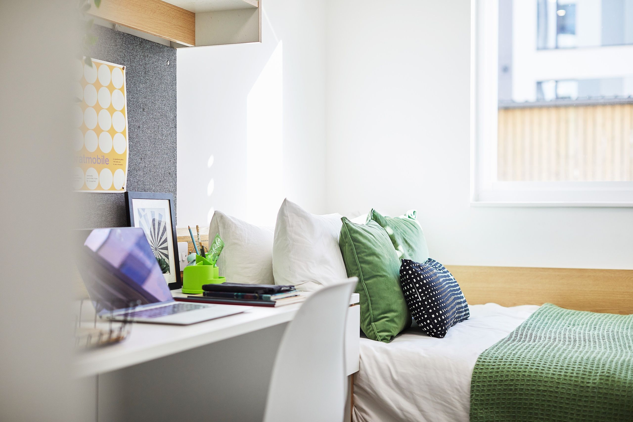 essex pastures Ley ES Single MG 8374 RT JJ web