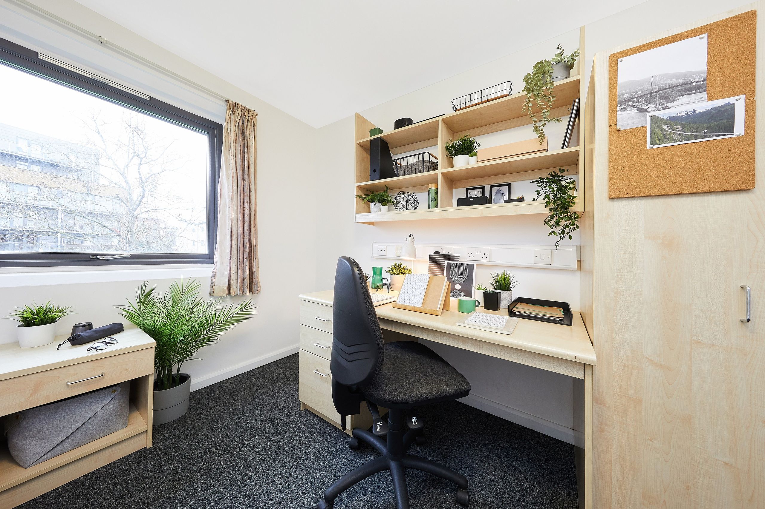 essex quays Mq 1.3 ES Single Room MG 8669 RT JJ web