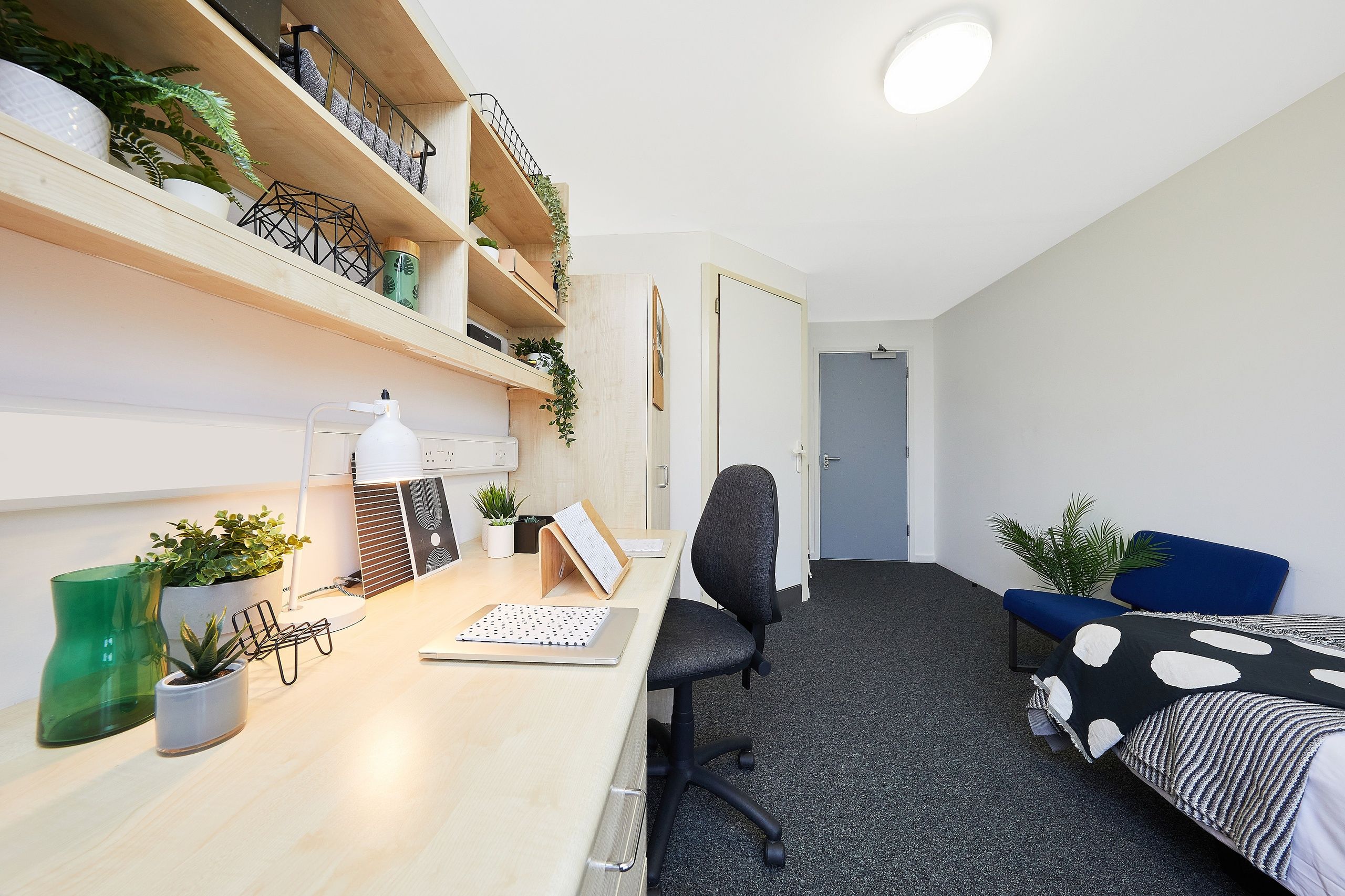 essex quays Mq 1.3 ES Single Room MG 8671 RT JJ web 1