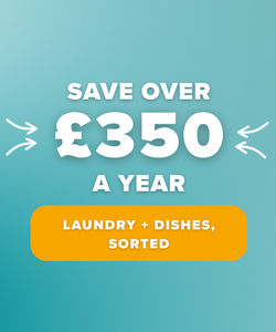 laundry+dishes bridleworks